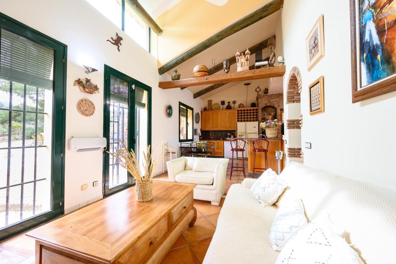 Villa Saguaro Malaga Альхаурин-де-ла-Торре Экстерьер фото
