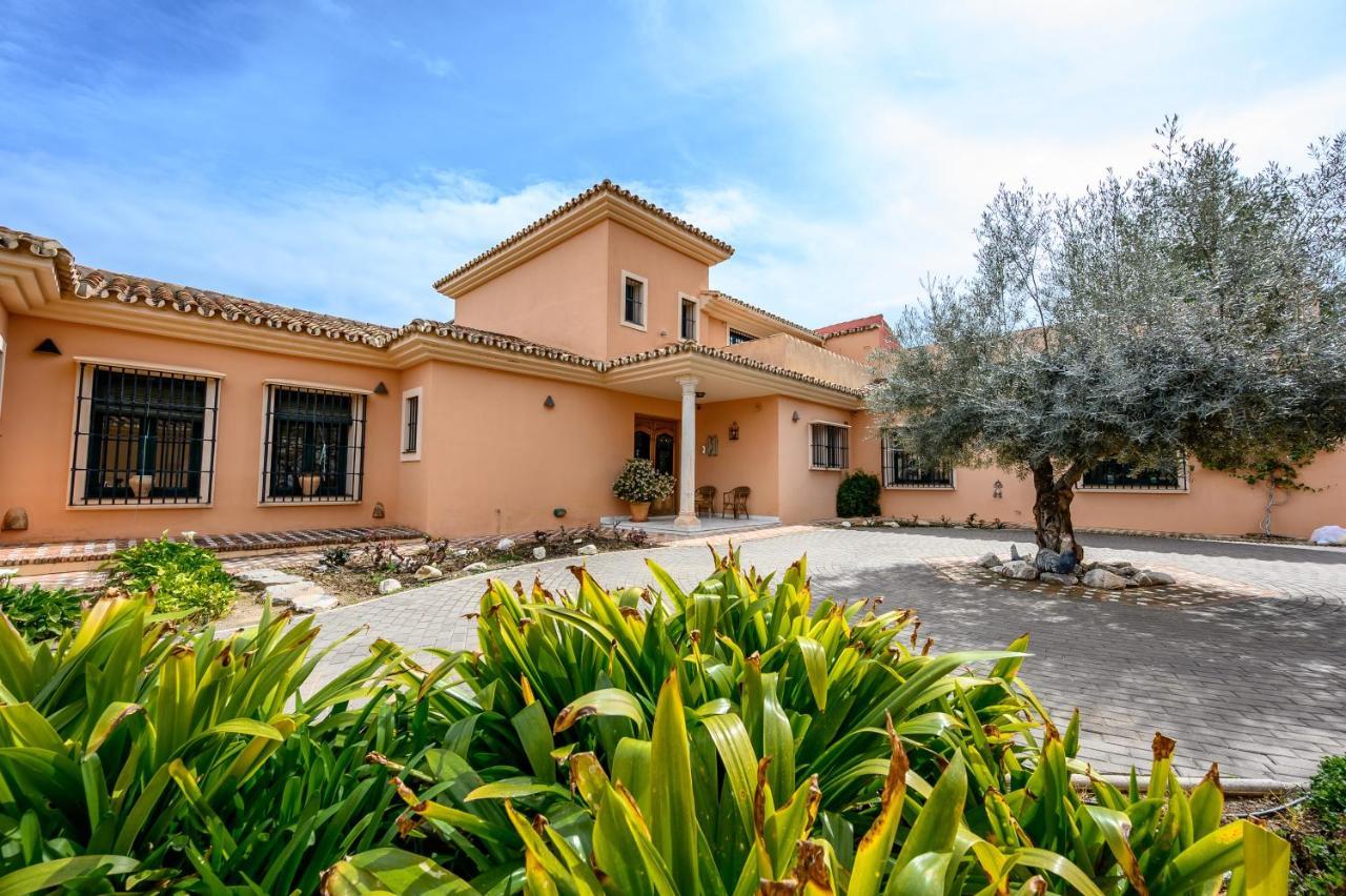 Villa Saguaro Malaga Альхаурин-де-ла-Торре Экстерьер фото